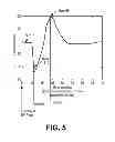 Fig. 07 - Effective capture