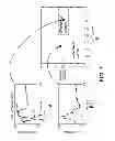 Fig. 09 - Effective capture