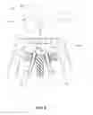 Fig. 07 - Handpiece for laser treatment device