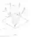 Fig. 08 - Handpiece for laser treatment device