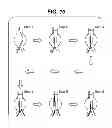 Fig. 13 - STENT CANNULATION GUIDING DEVICE AND METHOD OF USE