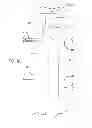 Fig. 09 - Endoluminal prosthesis having modular branches and methods of deployment