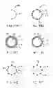 Fig. 13 - Multilayer stent