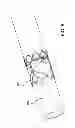 Fig. 09 - Elastomeric leaflet for prosthetic heart valves