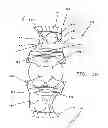 Fig. 27 - Device for securing an implant to tissue