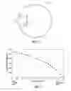 Fig. 02 - Ball joint prosthesis and method