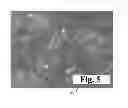 Fig. 04 - Dynamic bioactive nanofiber scaffolding