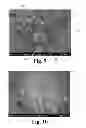 Fig. 07 - Dynamic bioactive nanofiber scaffolding