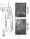 Fig. 09 - Dynamic bioactive nanofiber scaffolding