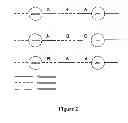 Fig. 03 - Biomaterial