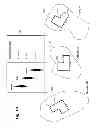 Fig. 03 - Disparity correction for location-aware distributed sporting events