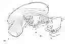 Fig. 01 - Aircraft with a cockpit including a viewing surface for piloting which is at least partially virtual