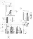 Fig. 02 - Transparent Intellectual Network Storage Device