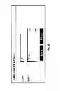 Fig. 61 - REMOTE ACCESS MANAGEMENT SYSTEMS