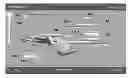 Fig. 01 - Time Lapsable Motion Image Responsive to Features of Pathophysiologic Perturbations