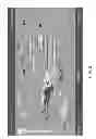 Fig. 03 - Time Lapsable Motion Image Responsive to Features of Pathophysiologic Perturbations