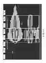 Fig. 17 - Time Lapsable Motion Image Responsive to Features of Pathophysiologic Perturbations