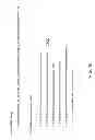 Fig. 20 - Time Lapsable Motion Image Responsive to Features of Pathophysiologic Perturbations