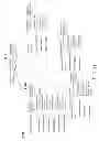 Fig. 22 - Time Lapsable Motion Image Responsive to Features of Pathophysiologic Perturbations