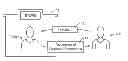 Fig. 01 - Pre-purchase feedback apparatus and method