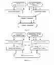 Fig. 10 - Offload processing of data packets