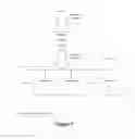 Fig. 08 - Intelligent switch for processing financial market data