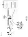 Fig. 08 - LICENSE APPLICATION PROCESSOR FOR TELECOMMUNICATIONS EQUIPMENT