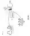Fig. 09 - LICENSE APPLICATION PROCESSOR FOR TELECOMMUNICATIONS EQUIPMENT
