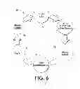 Fig. 06 - Computer-implemented system and method for building an implicit music recommendation
