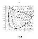 Fig. 06 - Mapping neural dynamics of a neural model on to a coarsely grained look-up table