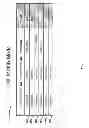 Fig. 03 - Best match processing mode of decision tables