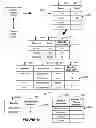Fig. 49 - Systems and methods for providing access to external content objects