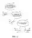 Fig. 05 - Creating Meaningful Selectable Strings From Media Titles