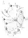 Fig. 02 - Creation and maintenance of self-organizing communication orbits in distributed networks