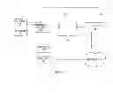 Fig. 02 - Automated input in an interactive television system