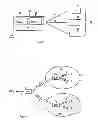 Fig. 06 - Method and apparatus for synchronizing an adaptable security level in an electronic communication