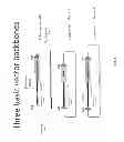Fig. 02 - ANIMAL MODELS AND THERAPEUTIC MOLECULES