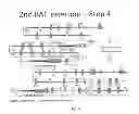 Fig. 19 - ANIMAL MODELS AND THERAPEUTIC MOLECULES