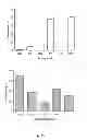 Fig. 36 - ANIMAL MODELS AND THERAPEUTIC MOLECULES