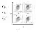 Fig. 54 - ANIMAL MODELS AND THERAPEUTIC MOLECULES