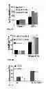 Fig. 06 - Methods Using Acyl-Coenzyme A-Binding Proteins to Enchance Drought Tolerance in Genetically Modified Plants