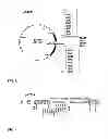 Fig. 07 - Methods Using Acyl-Coenzyme A-Binding Proteins to Enchance Drought Tolerance in Genetically Modified Plants