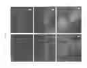 Fig. 02 - Nanocarrier based plant transfection and transduction