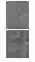 Fig. 04 - Nanocarrier based plant transfection and transduction