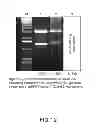 Fig. 13 - Isolated eIF-5A and Polynucleotides Encoding Same