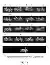 Fig. 20 - Isolated eIF-5A and Polynucleotides Encoding Same