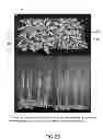 Fig. 26 - Isolated eIF-5A and Polynucleotides Encoding Same