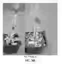 Fig. 37 - Isolated eIF-5A and Polynucleotides Encoding Same