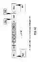 Fig. 41 - Isolated eIF-5A and Polynucleotides Encoding Same
