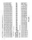 Fig. 43 - Isolated eIF-5A and Polynucleotides Encoding Same